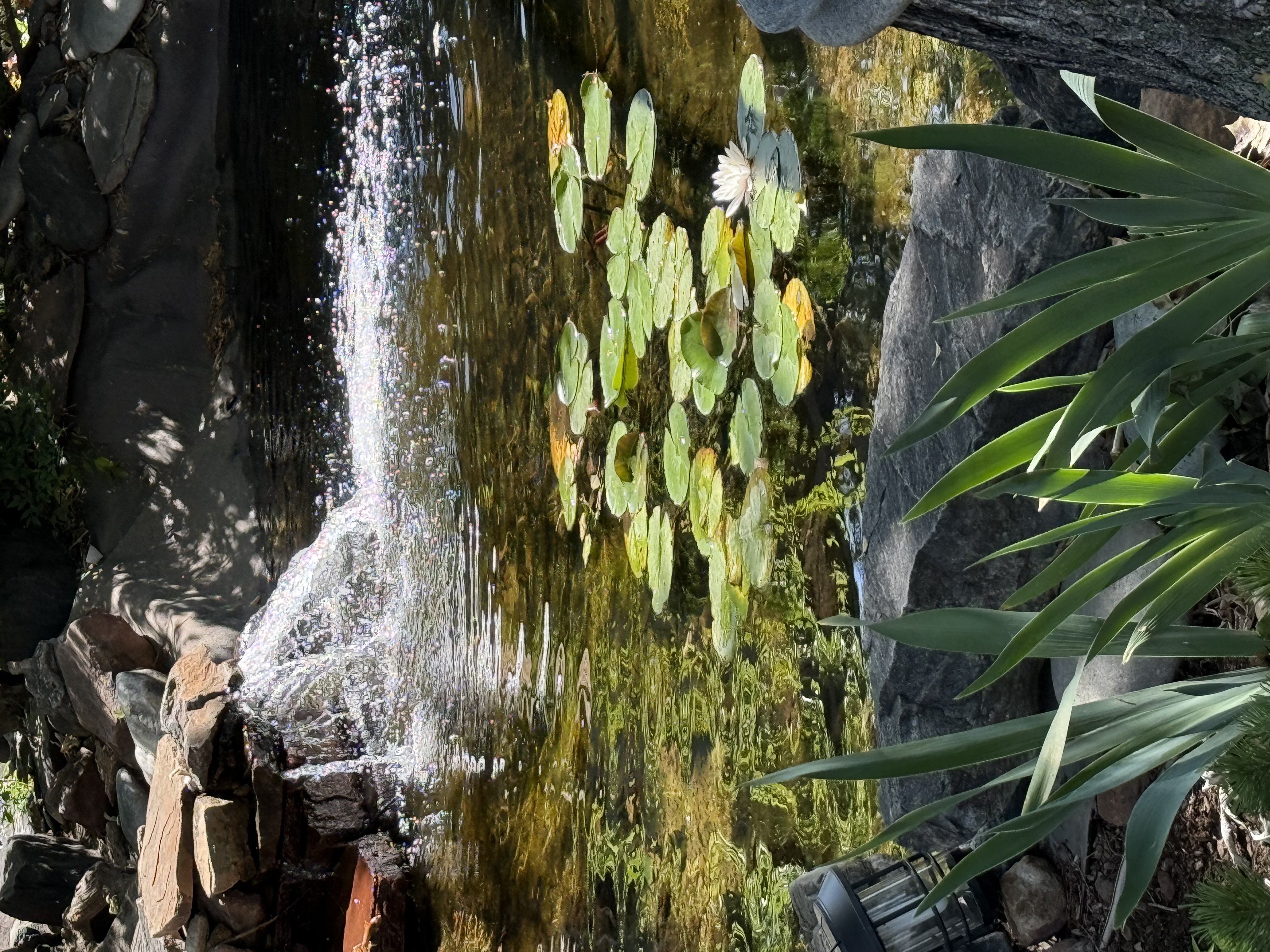 Gardener’s Grove